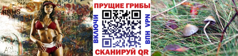 Галлюциногенные грибы Psilocybe  kraken tor  Дзержинск  купить  цена 