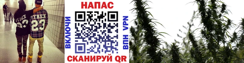 Бошки Шишки тримм  Дзержинск 